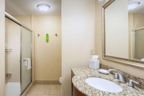 Hampton Inn By Hilton & Suites Las Vegas-Red Rock/Summerlin image 12